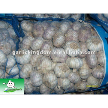 20kg loose mesh bag red garlic